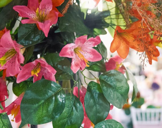 oe bridal photos 08 orig